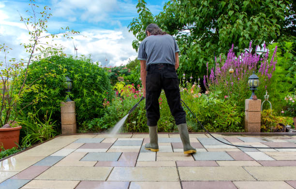 Best Animal Enclosure Cleaning  in Whiskey Creek, FL