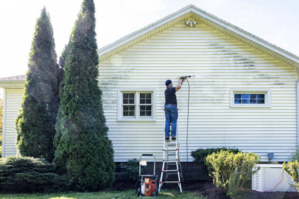 Best Roof Washing  in Whiskey Creek, FL